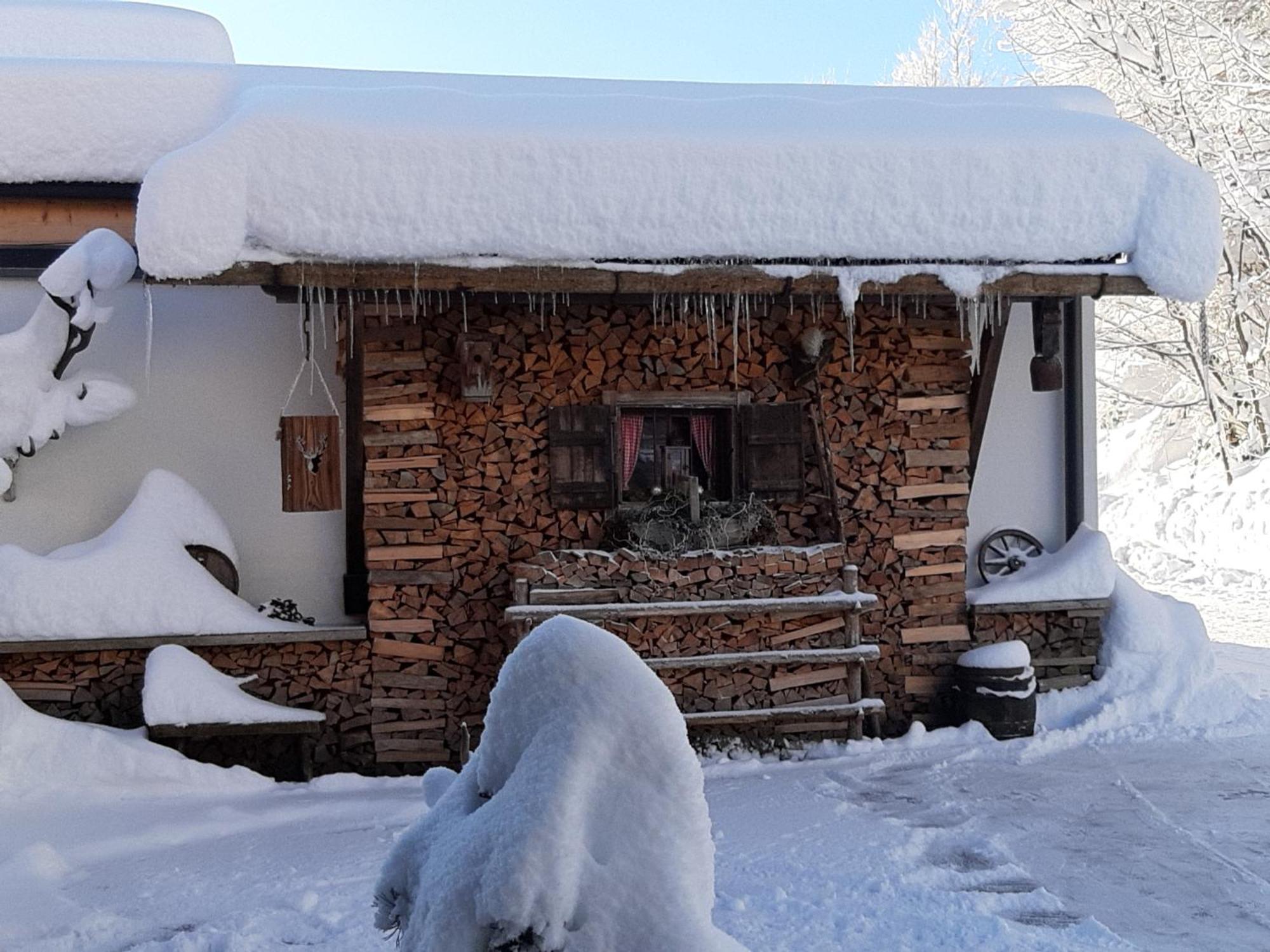 Haus Wildschuetz Apartment Hippach Bagian luar foto